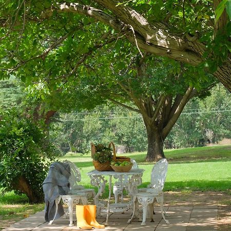St Fort Farm Guesthouse Clarens Dış mekan fotoğraf