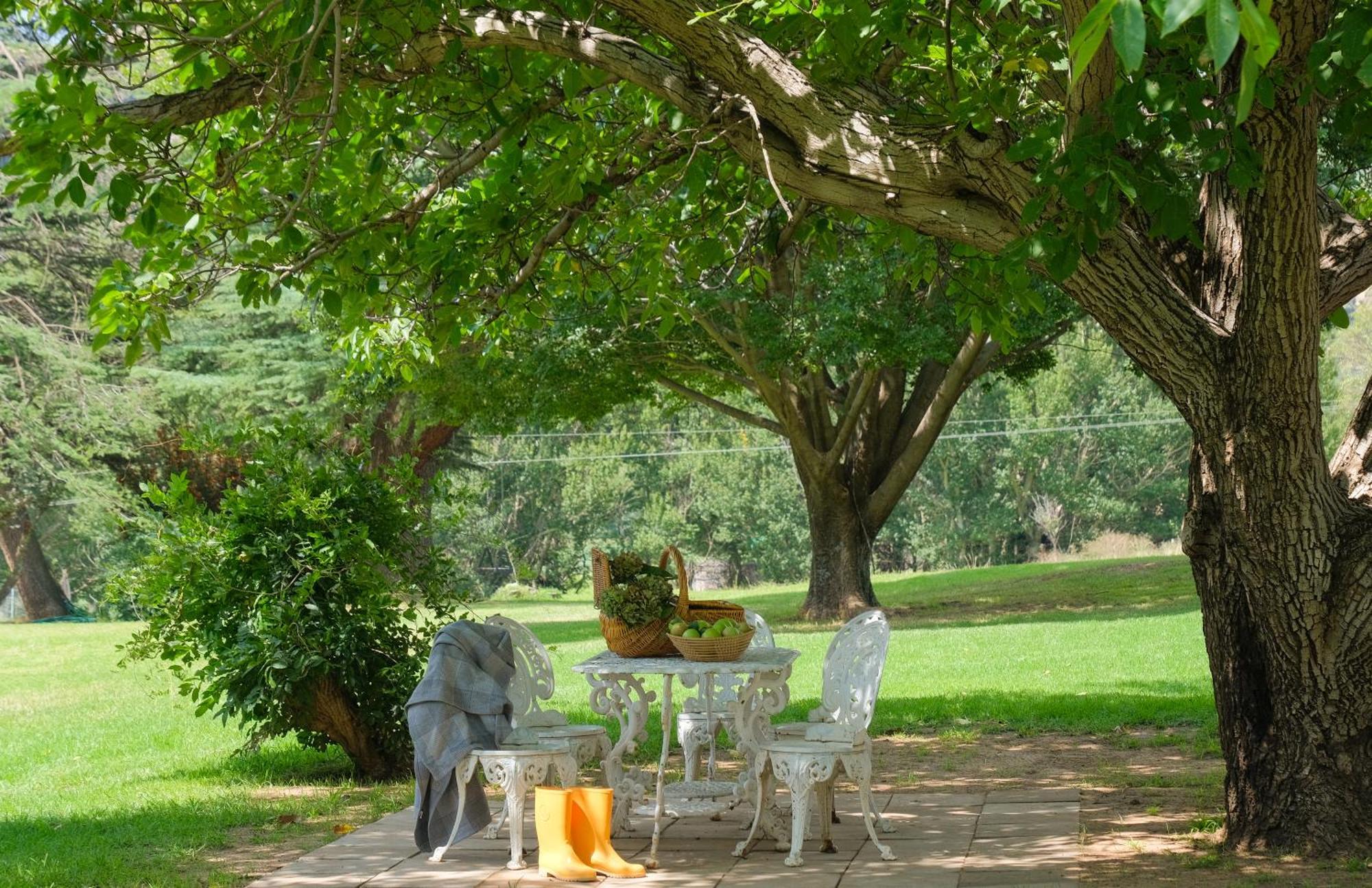 St Fort Farm Guesthouse Clarens Dış mekan fotoğraf